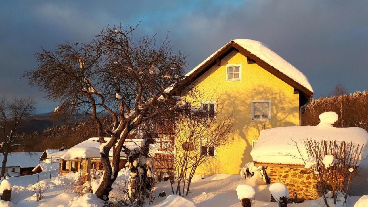 Ferienwohnung Sigi'S Waldhaus Neuschönau Dış mekan fotoğraf